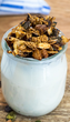 Fromage blanc et granola maison